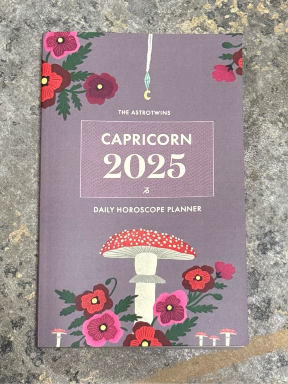 The AstroTwins Capricorn 2025 Daily Horoscope Planner - Rare Out of Print